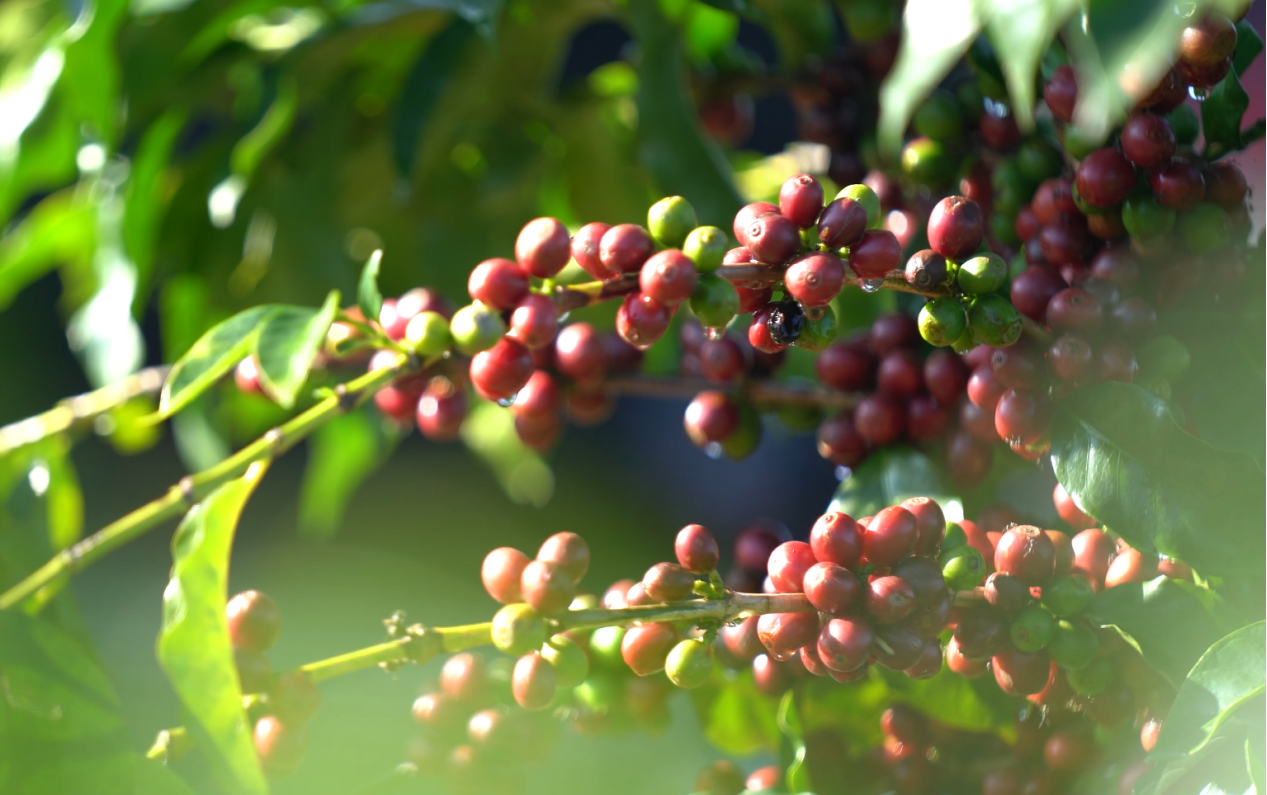 login_𺣰ƽ̨_𺣰δ